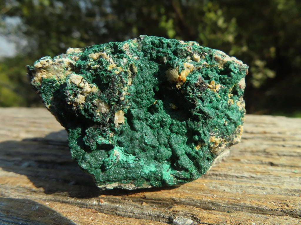 Natural Micro Botryoidal Malachite Specimens  x 12 From Congo - TopRock