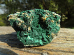 Natural Micro Botryoidal Malachite Specimens  x 12 From Congo - TopRock