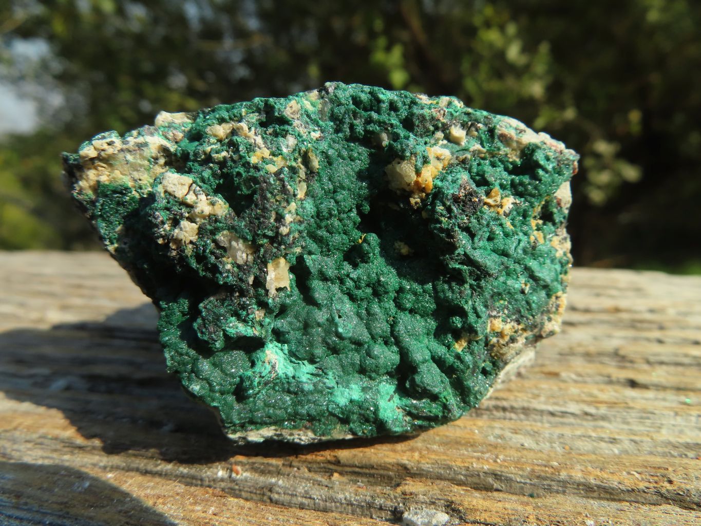 Natural Micro Botryoidal Malachite Specimens  x 12 From Congo - TopRock