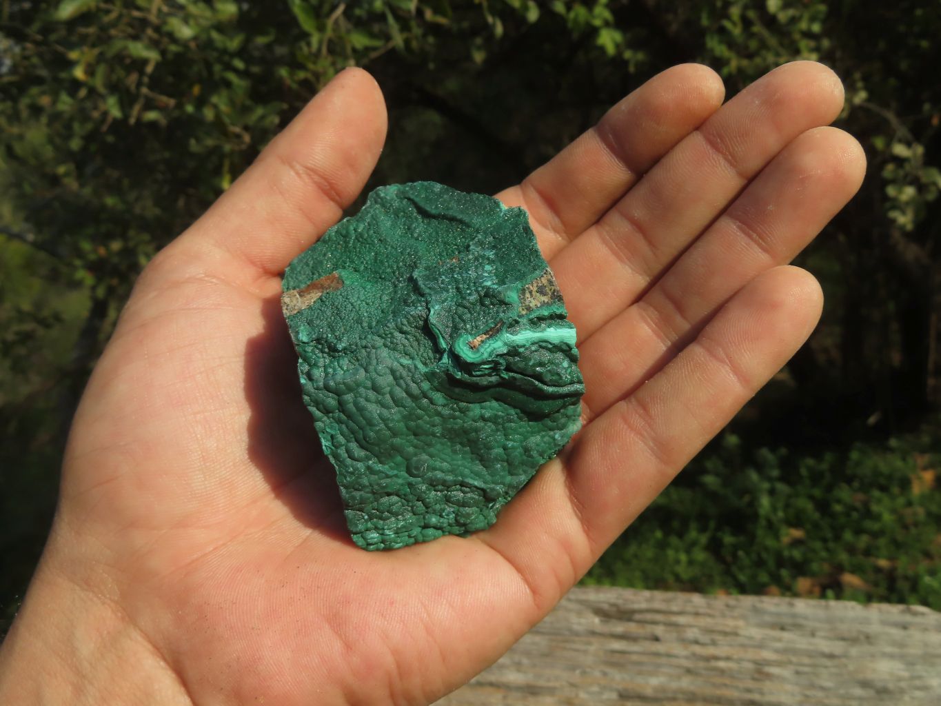 Natural Micro Botryoidal Malachite Specimens  x 12 From Congo - TopRock