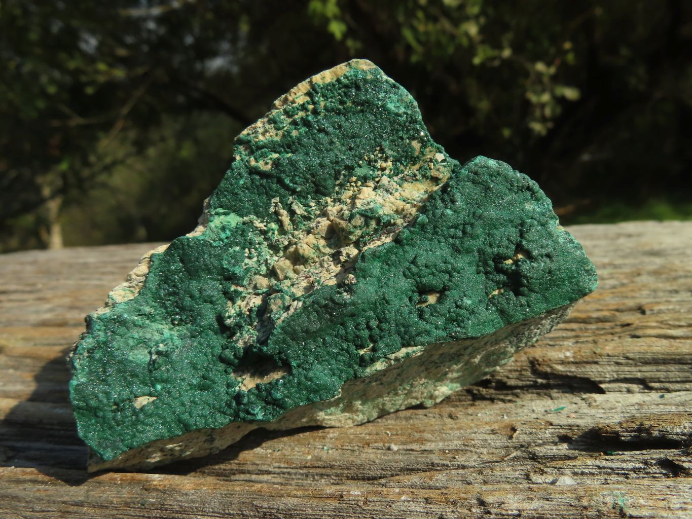 Natural Micro Botryoidal Malachite Specimens  x 12 From Congo - TopRock