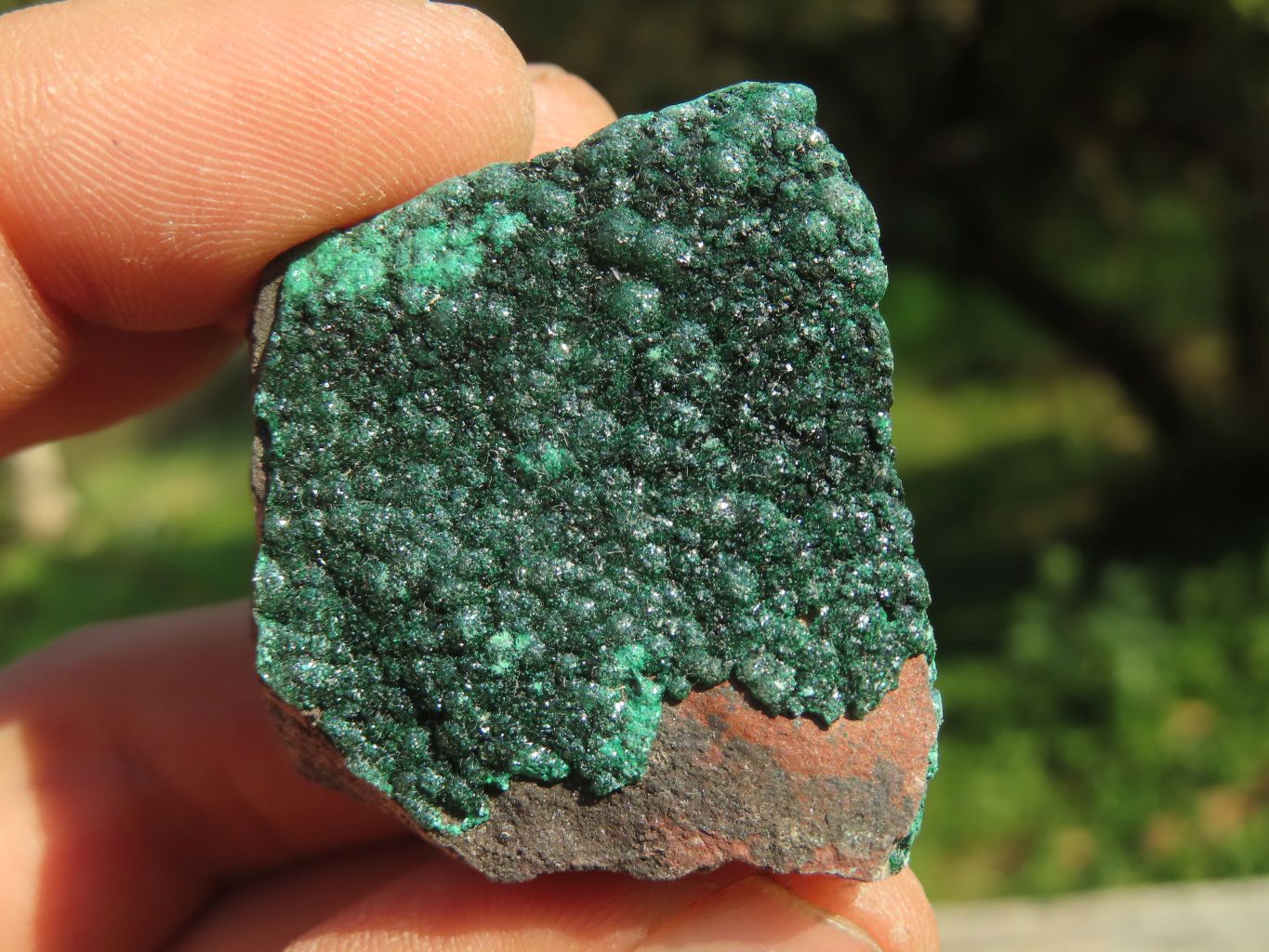 Natural Micro Botryoidal Malachite Specimens  x 12 From Congo - TopRock