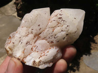 Natural Pineapple Candle Quartz Crystals x 18 From Madagascar - TopRock