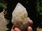 Natural Pineapple Candle Quartz Crystals x 18 From Madagascar - TopRock