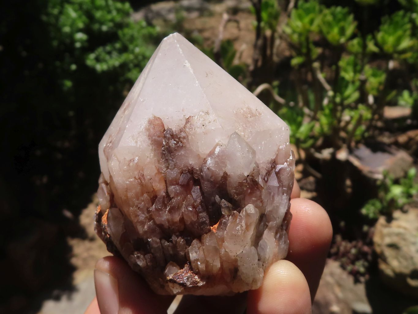 Natural Pineapple Candle Quartz Crystals x 18 From Madagascar - TopRock