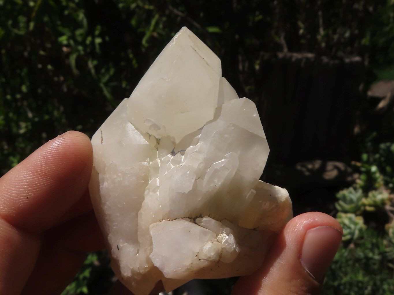 Natural Pineapple Candle Quartz Crystals x 18 From Madagascar - TopRock