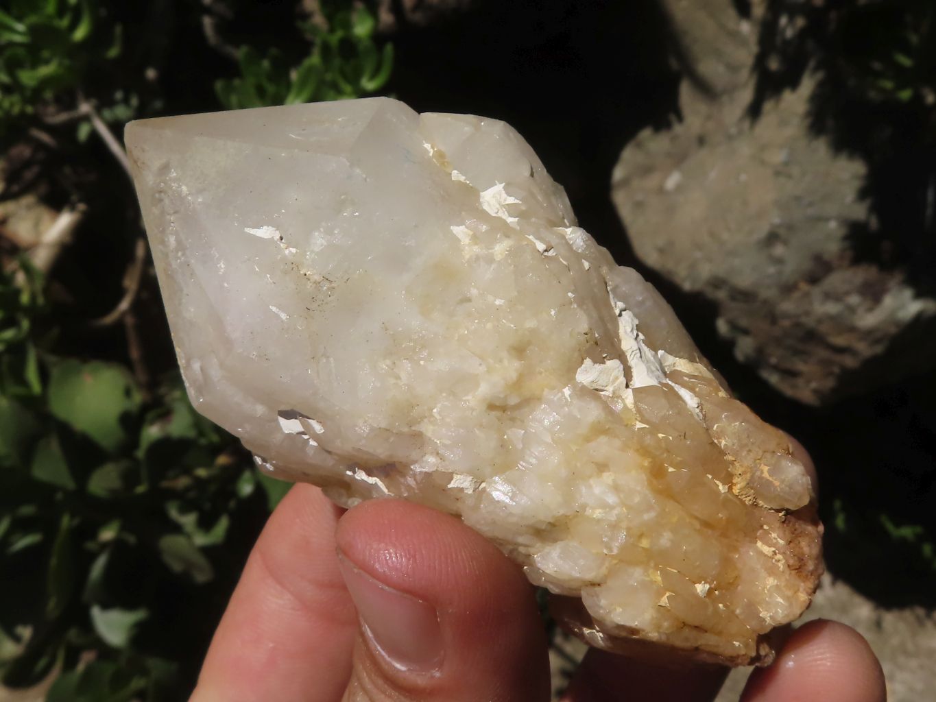 Natural Pineapple Candle Quartz Crystals x 18 From Madagascar - TopRock