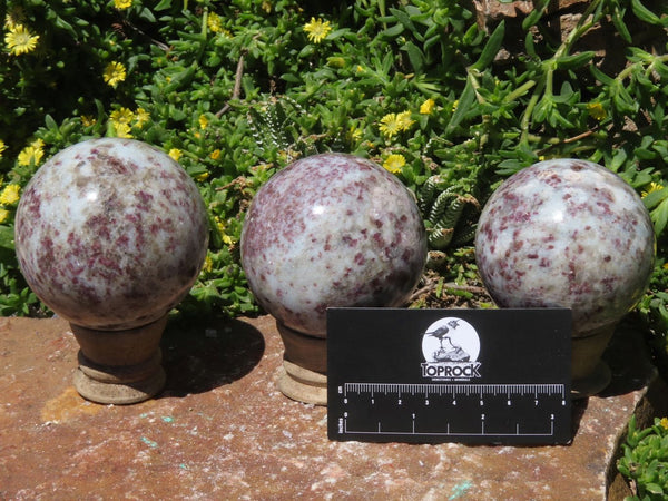 Polished Rubellite Spheres x 3 From Madagascar - TopRock
