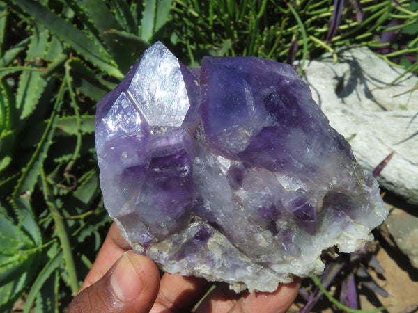 Natural Amethyst Quartz Clusters x 6 From Mapatizya, Zambia - TopRock