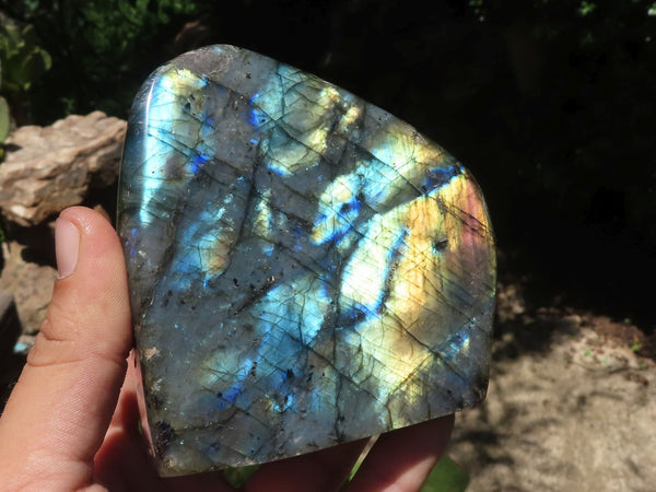 Polished Labradorite Standing Free Forms  x 2 From Tulear, Madagascar - TopRock