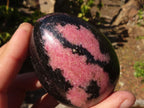 Polished Extra Large Rhodonite Gemstone Eggs x 4 From Madagascar - Toprock Gemstones and Minerals 