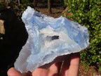 Natural Etched Blue Chalcedony Specimens  x 3 From Nsanje, Malawi - Toprock Gemstones and Minerals 