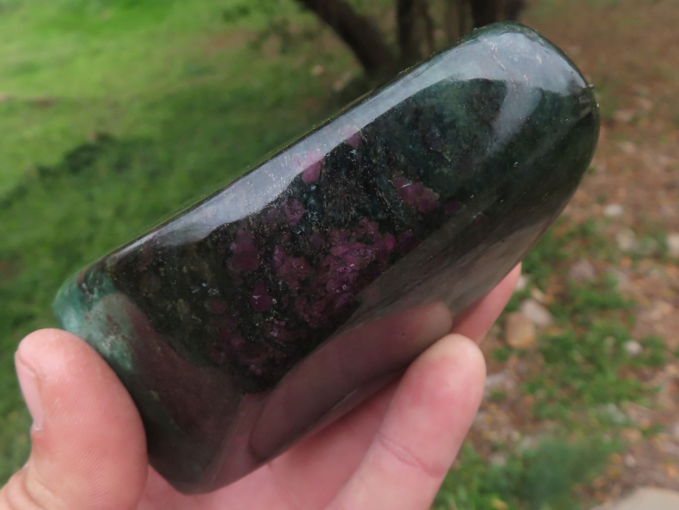 Polished Fluorescent Ruby Corundum In Chrome Verdite Free Forms x 5 From Zimbabwe - TopRock