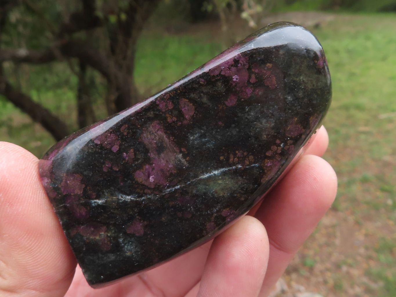 Polished Fluorescent Ruby Corundum In Chrome Verdite Free Forms x 5 From Zimbabwe - TopRock