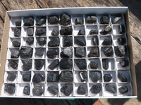 Natural Schorl Black Tourmaline Rough Crystals  x 63 From Zambia - TopRock