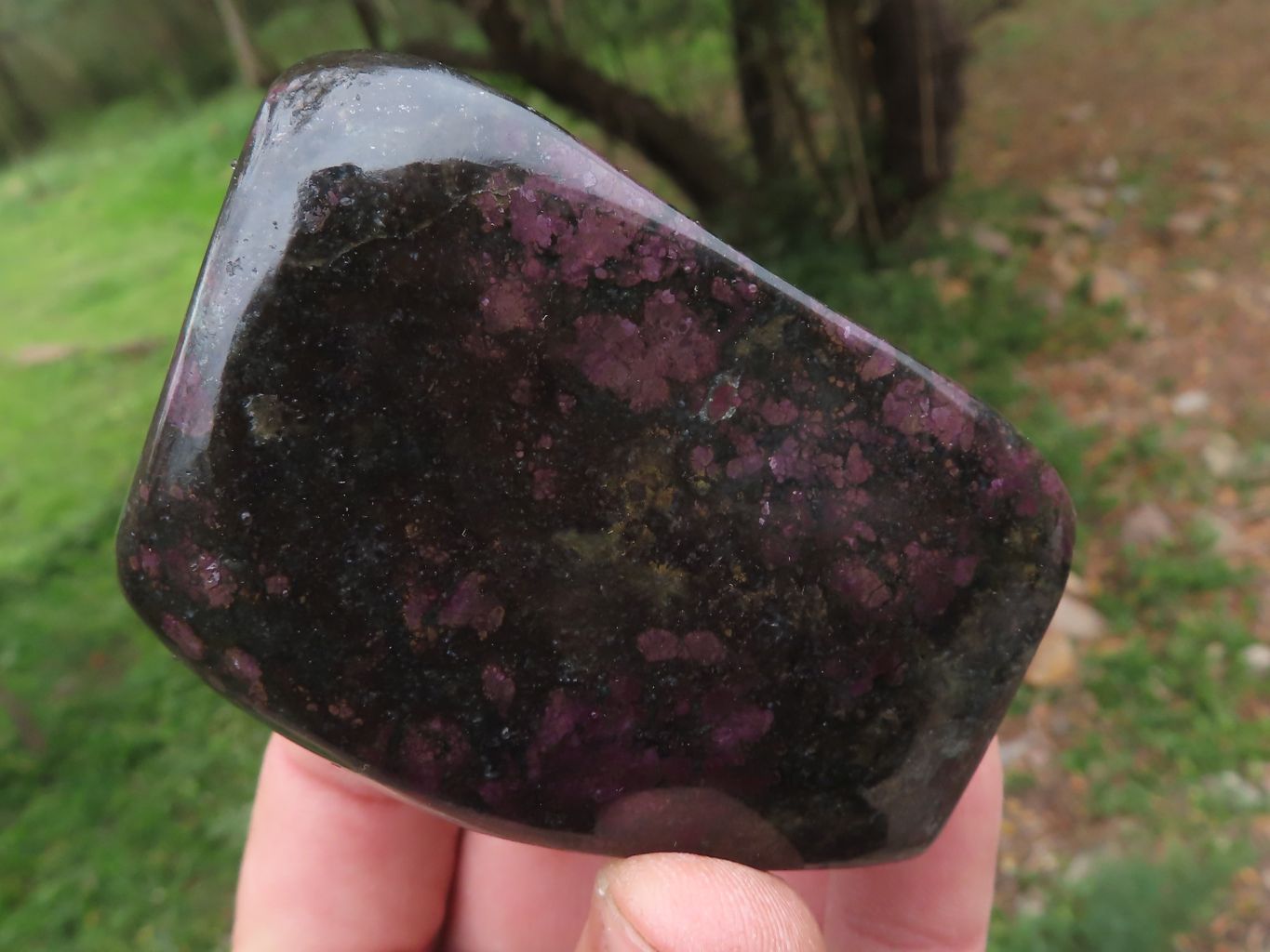 Polished Fluorescent Ruby Corundum In Chrome Verdite Free Forms x 5 From Zimbabwe - TopRock