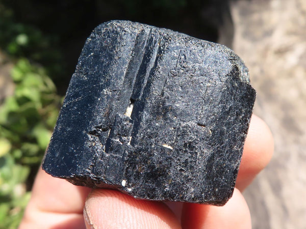 Natural Schorl Black Tourmaline Rough Crystals  x 63 From Zambia - TopRock