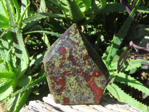 Polished Bastite Dragon Bloodstone Standing Free Forms x 4 From Tshipise, South Africa - TopRock