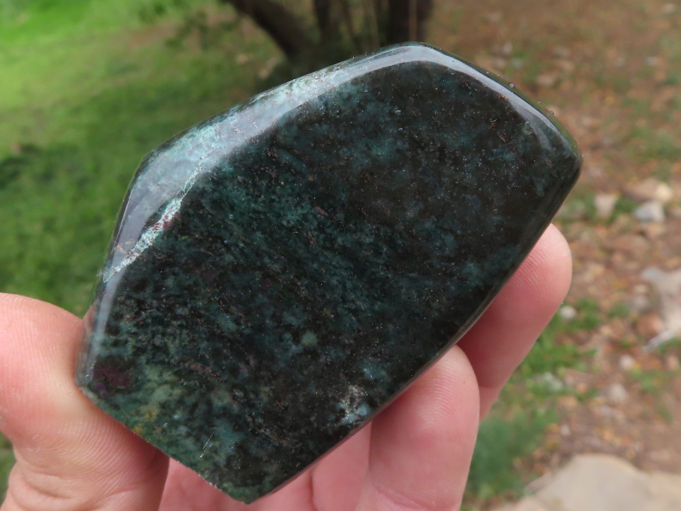 Polished Fluorescent Ruby Corundum In Chrome Verdite Free Forms x 5 From Zimbabwe - TopRock