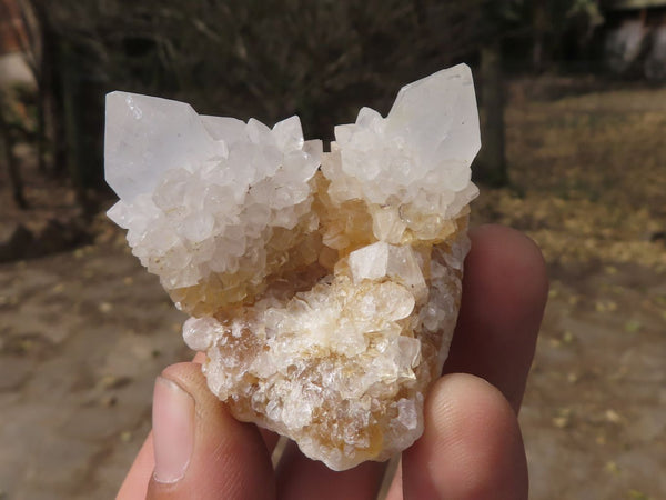 Natural Small Spirit Quartz Clusters  x 35 From Boekenhouthoek, South Africa - TopRock