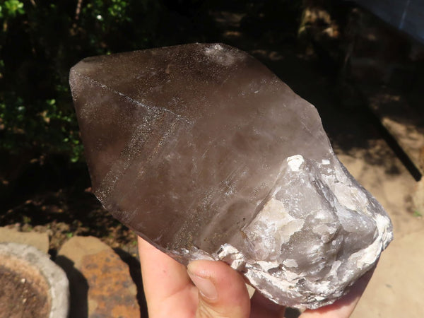 Polished Large Smokey Quartz Crystals  x 2 From Mulanje, Malawi - TopRock