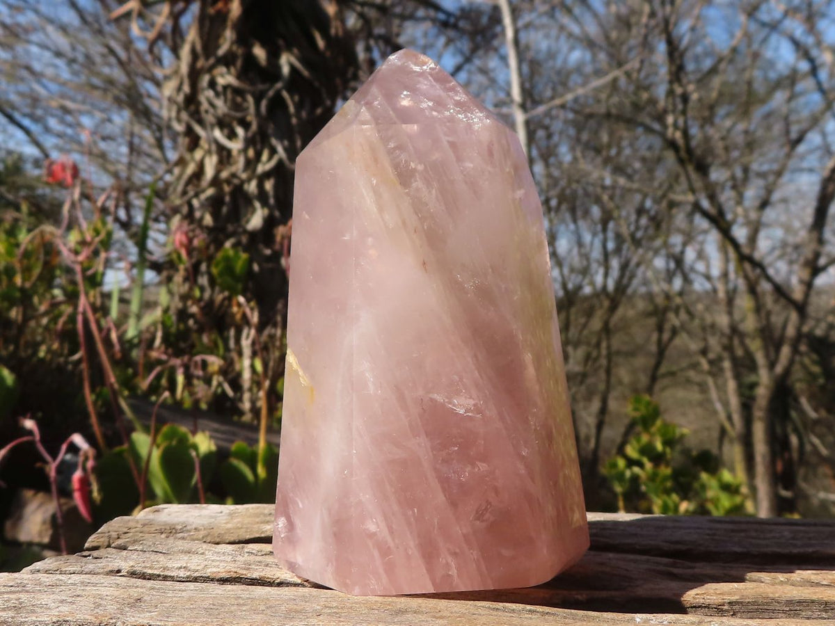 Polished Gemmy Rose Quartz Points x 3 From Madagascar - Toprock Gemstones and Minerals 