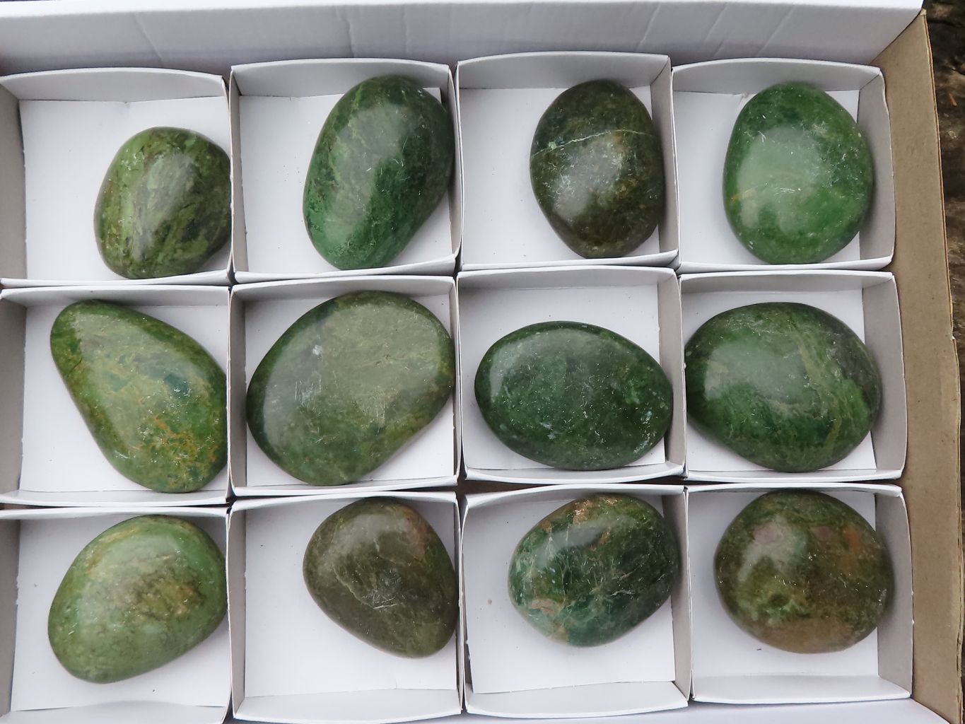 Polished Green Verdite Palm Stones  x 12 From Zimbabwe - TopRock