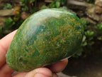 Polished Green Verdite Palm Stones  x 12 From Zimbabwe - TopRock