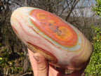 Polished Extra Large Polychrome Jasper Standing Free Form x 1 From Madagascar - Toprock Gemstones and Minerals 