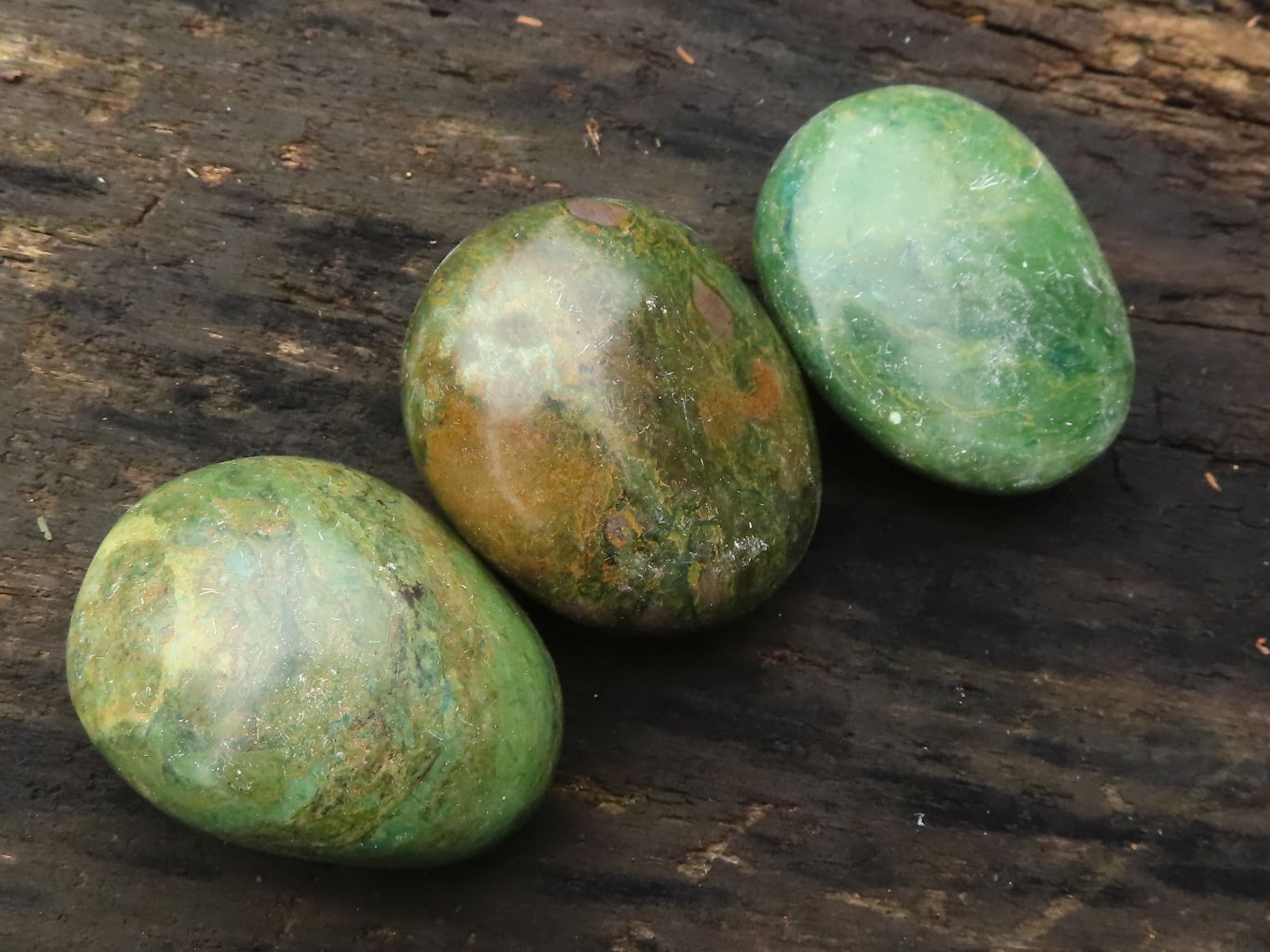Polished Green Verdite Palm Stones  x 12 From Zimbabwe - TopRock