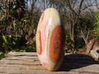 Polished Extra Large Polychrome Jasper Standing Free Form x 1 From Madagascar - Toprock Gemstones and Minerals 