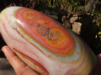 Polished Extra Large Polychrome Jasper Standing Free Form x 1 From Madagascar - Toprock Gemstones and Minerals 