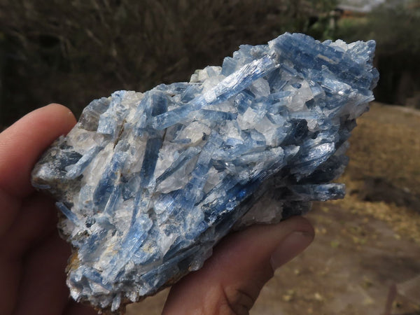 Natural Blue Kyanite In Schist Specimens  x 12 From Karoi, Zimbabwe