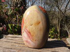 Polished Extra Large Polychrome Jasper Standing Free Form x 1 From Madagascar - Toprock Gemstones and Minerals 