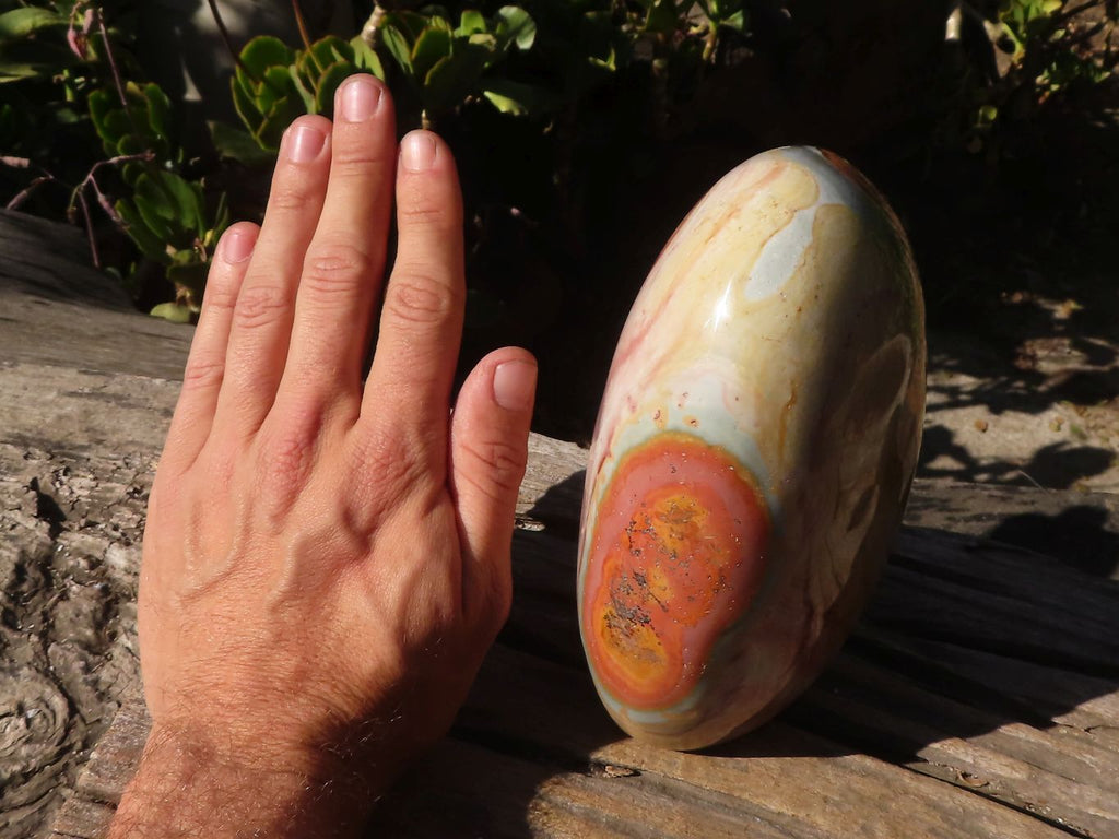 Polished Extra Large Polychrome Jasper Standing Free Form x 1 From Madagascar - Toprock Gemstones and Minerals 