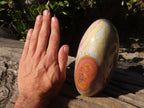 Polished Extra Large Polychrome Jasper Standing Free Form x 1 From Madagascar - Toprock Gemstones and Minerals 