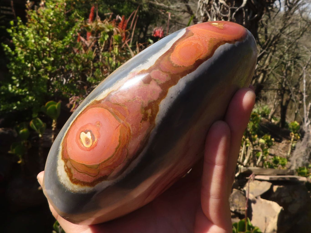 Polished Extra Large Polychrome Jasper Standing Free Form x 1 From Madagascar - Toprock Gemstones and Minerals 