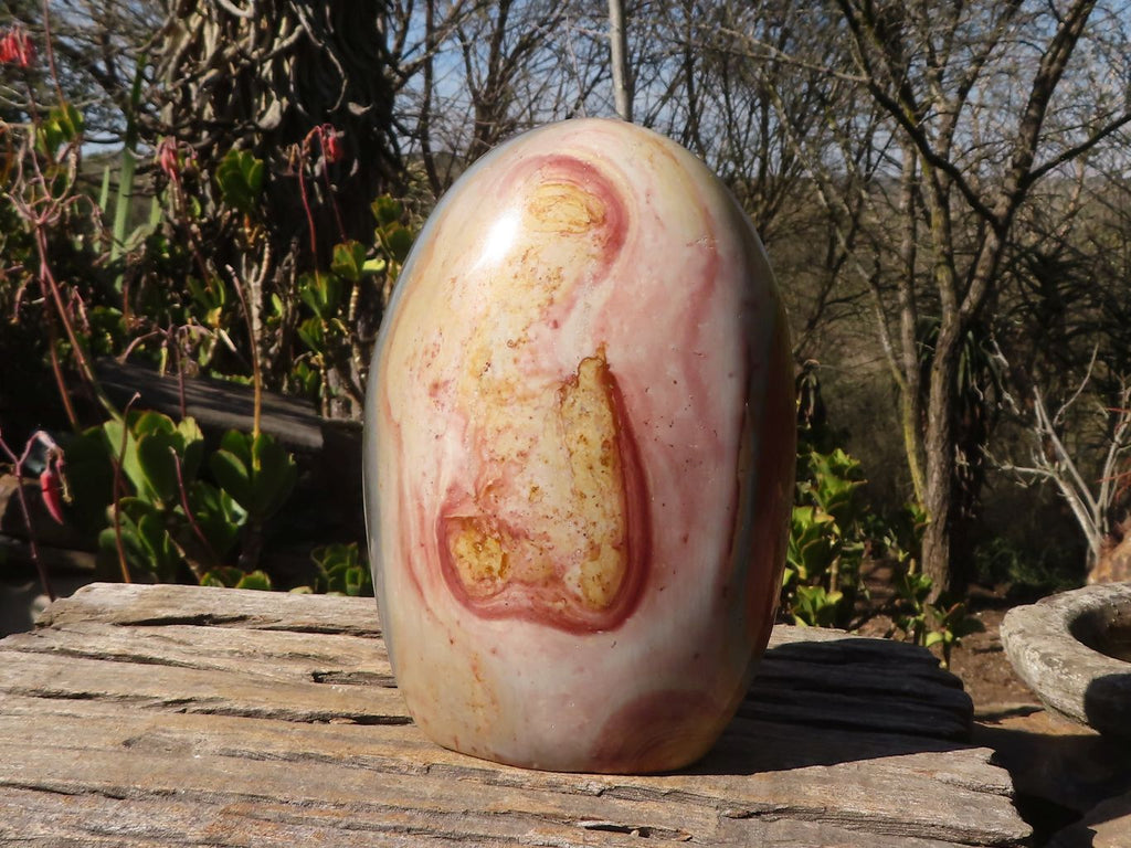 Polished Extra Large Polychrome Jasper Standing Free Form x 1 From Madagascar - Toprock Gemstones and Minerals 