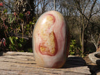 Polished Extra Large Polychrome Jasper Standing Free Form x 1 From Madagascar - Toprock Gemstones and Minerals 