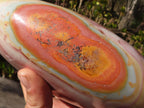 Polished Extra Large Polychrome Jasper Standing Free Form x 1 From Madagascar - Toprock Gemstones and Minerals 