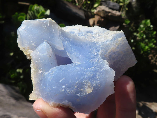 Natural Etched Blue Chalcedony Specimens  x 6 From Malawi - Toprock Gemstones and Minerals 