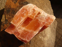 Natural New Sunset Orange Calcite Specimens  x 12 From Spitzkop, Namibia - Toprock Gemstones and Minerals 