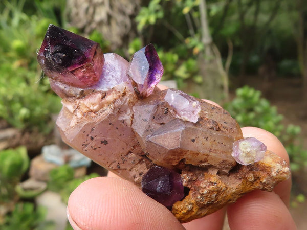 Natural Man Made Conglomerate Amethyst Specimens  x 12 From Chiredzi, Zimbabwe - Toprock Gemstones and Minerals 