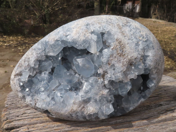 Polished Large Celestite Egg With Cubic Crystals  x 1 From Sakoany, Madagascar