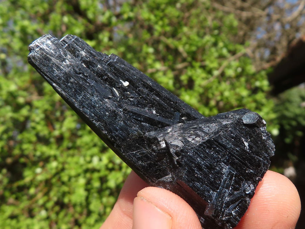 Natural Schorl Black Tourmaline Specimens  x 12 From Erongo, Namibia - Toprock Gemstones and Minerals 