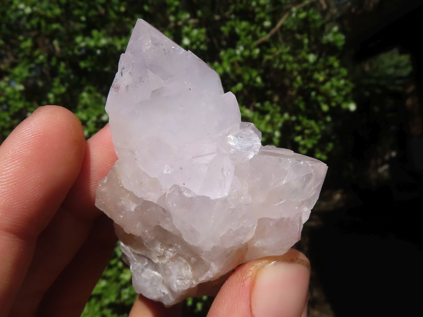 Natural White Spirit Cactus Quartz Clusters  x 12 From Boekenhouthoek, South Africa - Toprock Gemstones and Minerals 