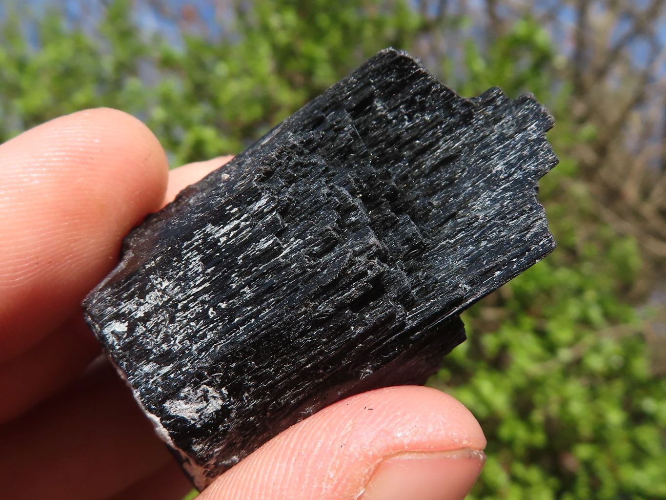 Natural Schorl Black Tourmaline Specimens  x 12 From Erongo, Namibia - Toprock Gemstones and Minerals 