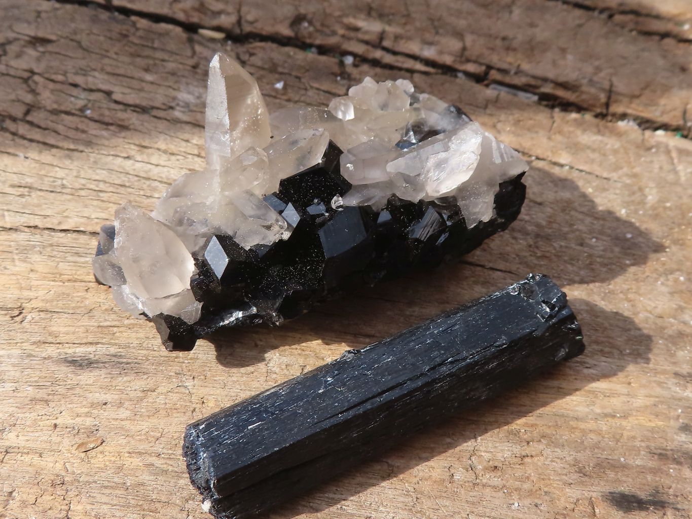 Natural Schorl Black Tourmaline Specimens  x 12 From Erongo, Namibia - Toprock Gemstones and Minerals 