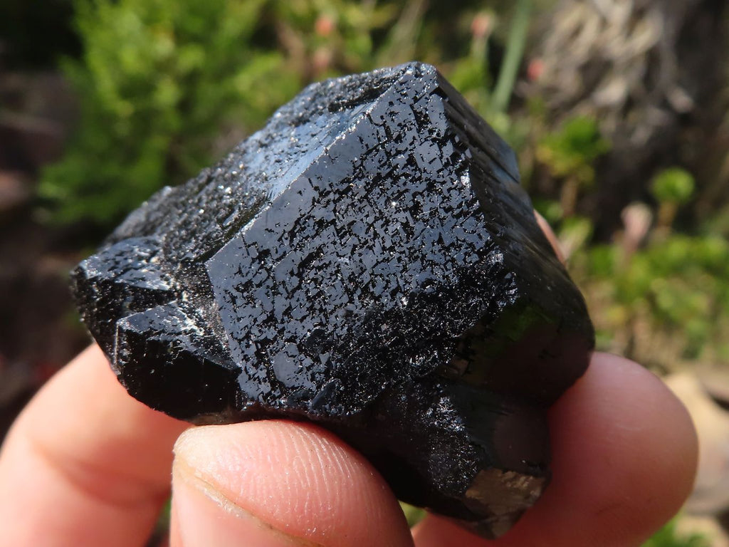 Natural Schorl Black Tourmaline Specimens  x 12 From Erongo, Namibia - Toprock Gemstones and Minerals 