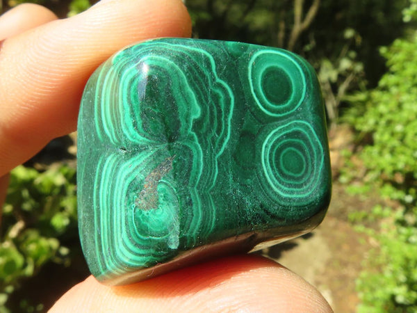 Polished Small Malachite Tumble Stones  x 20 From Congo - Toprock Gemstones and Minerals 